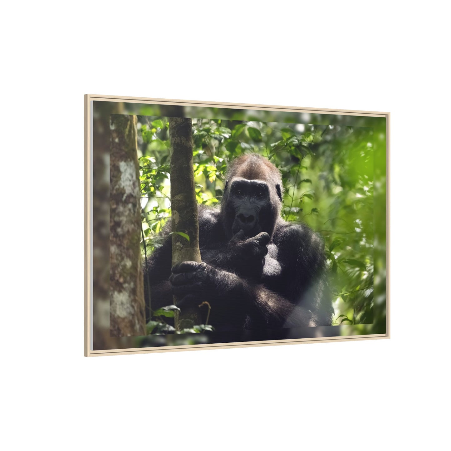 Silverback Gorilla Framed Canvas Wall Art, Gabon Africa Wildlife Photography Print, Safari Animal Decor