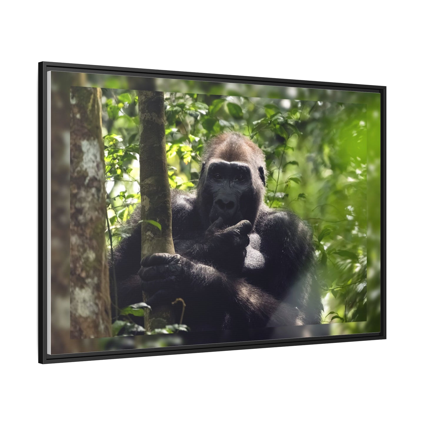 Silverback Gorilla Framed Canvas Wall Art, Gabon Africa Wildlife Photography Print, Safari Animal Decor