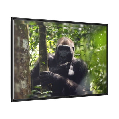Silverback Gorilla Framed Canvas Wall Art, Gabon Africa Wildlife Photography Print, Safari Animal Decor