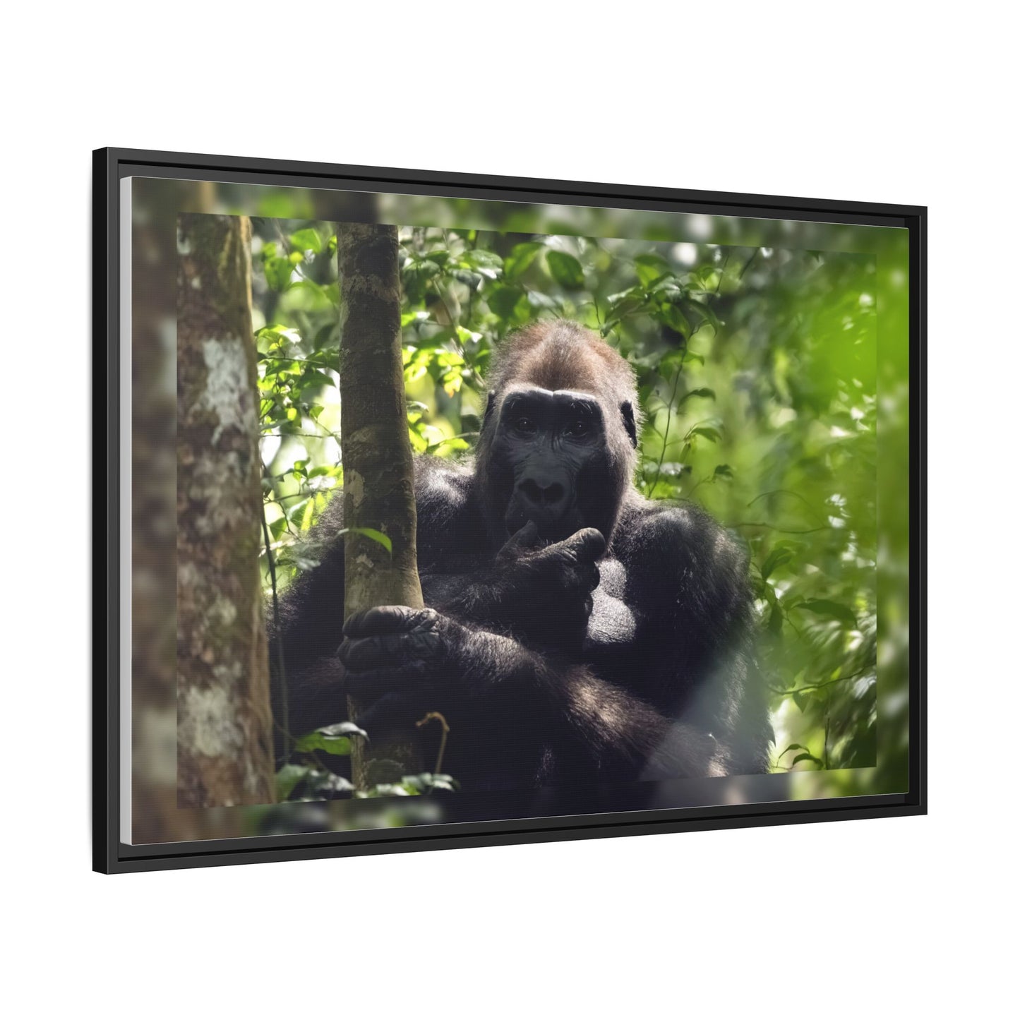 Silverback Gorilla Framed Canvas Wall Art, Gabon Africa Wildlife Photography Print, Safari Animal Decor