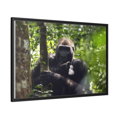Silverback Gorilla Framed Canvas Wall Art, Gabon Africa Wildlife Photography Print, Safari Animal Decor