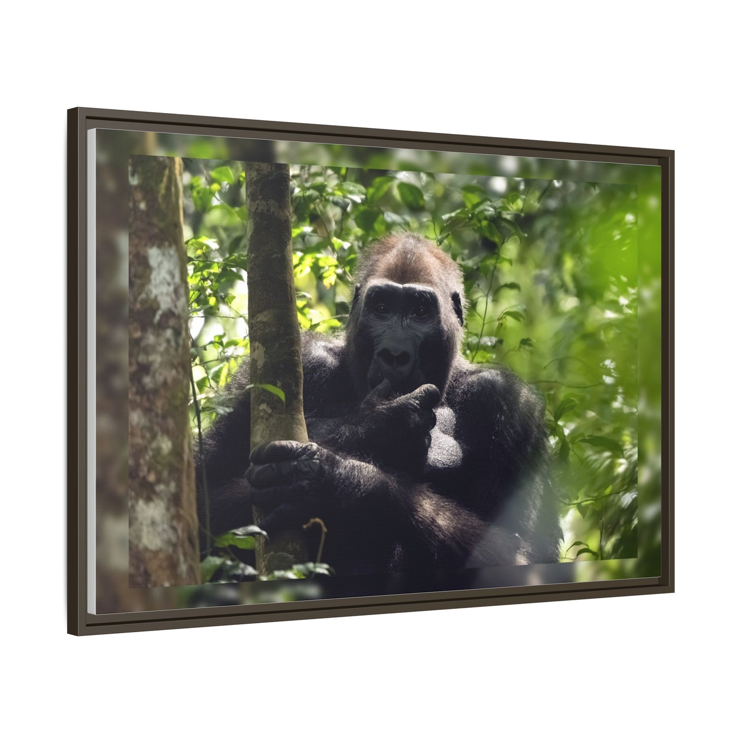 Silverback Gorilla Framed Canvas Wall Art, Gabon Africa Wildlife Photography Print, Safari Animal Decor