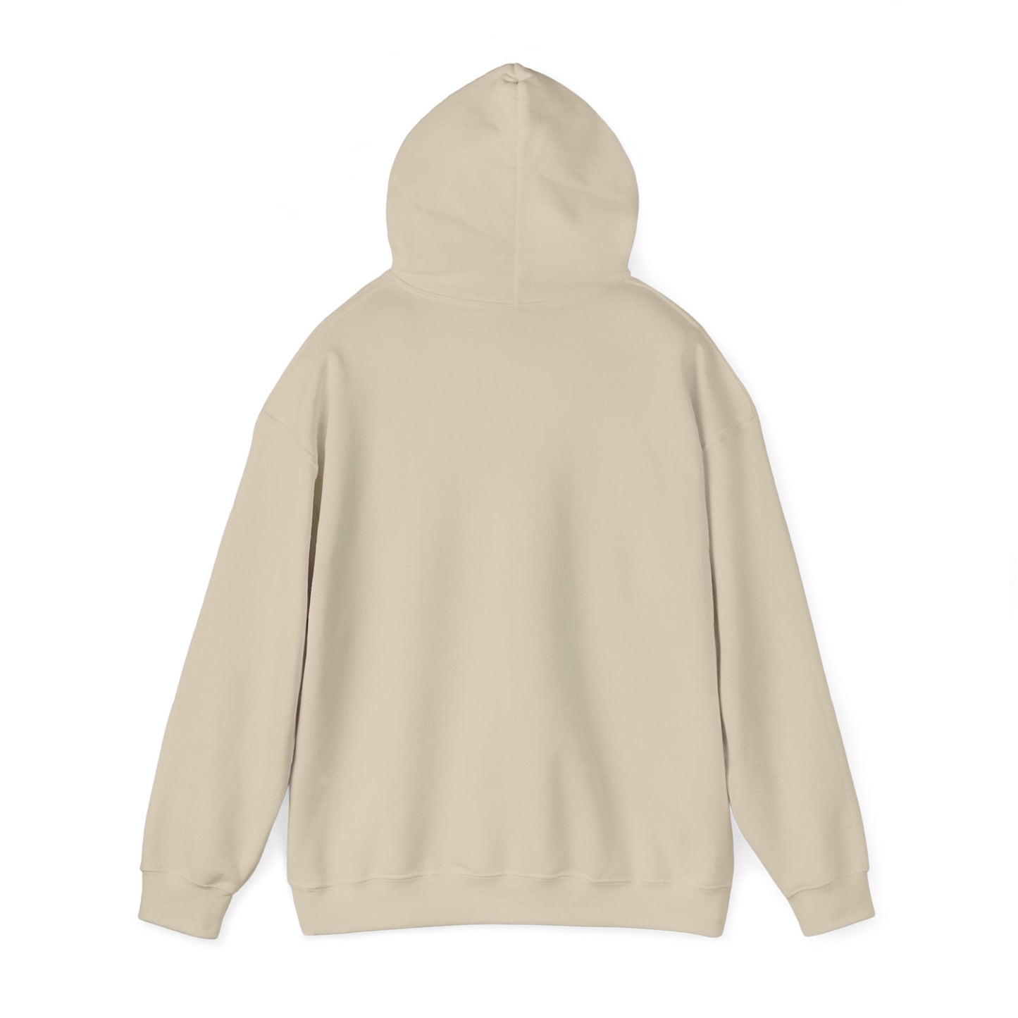 ‘Synchronicity’ Eastern North America - Unisex Heavy Blend™ Hooded Sweatshirt