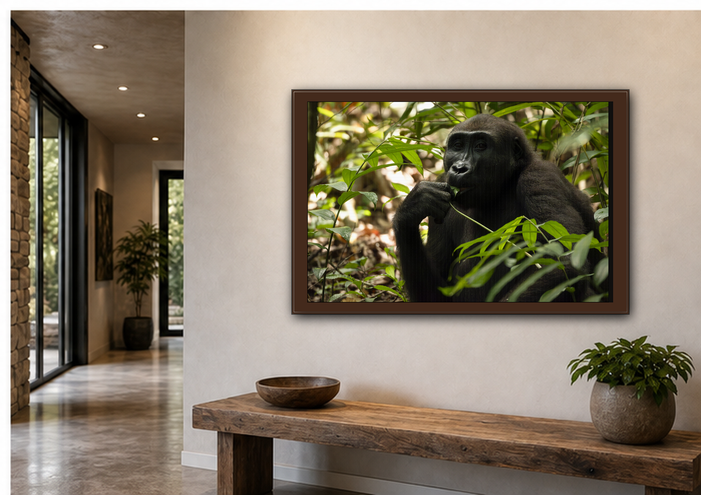 Male Gorilla Wall Art, Gabon Wildlife Photography, African Forest Espresso Framed Canvas Print