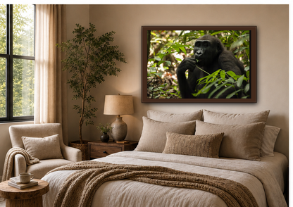 Male Gorilla Wall Art, Gabon Wildlife Photography, African Forest Espresso Framed Canvas Print