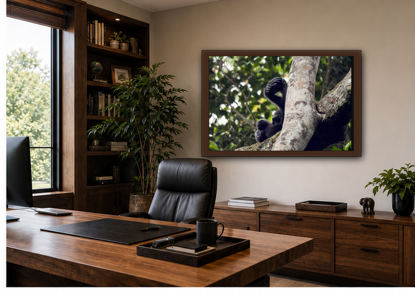 Baby Gorilla Wall Art, Gabon Wildlife Photo, Dozing in Tree Espresso Framed Canvas Print