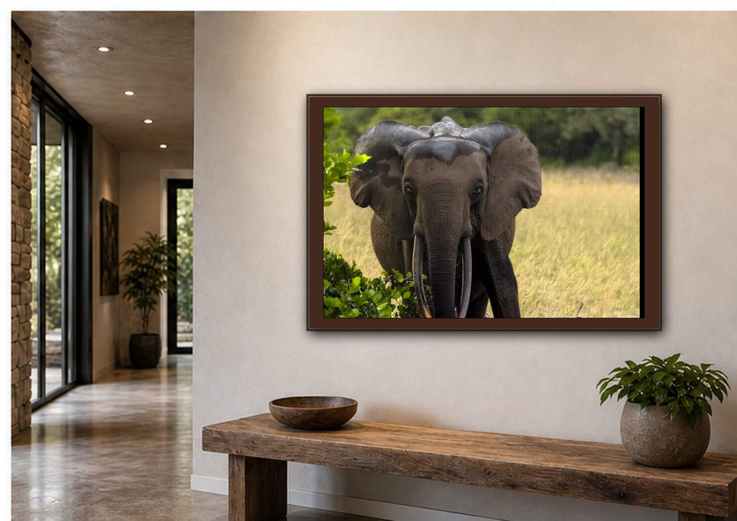 Forest Elephant Wall Art, Gabon Wildlife Photo, African Safari Espresso Framed Canvas Print
