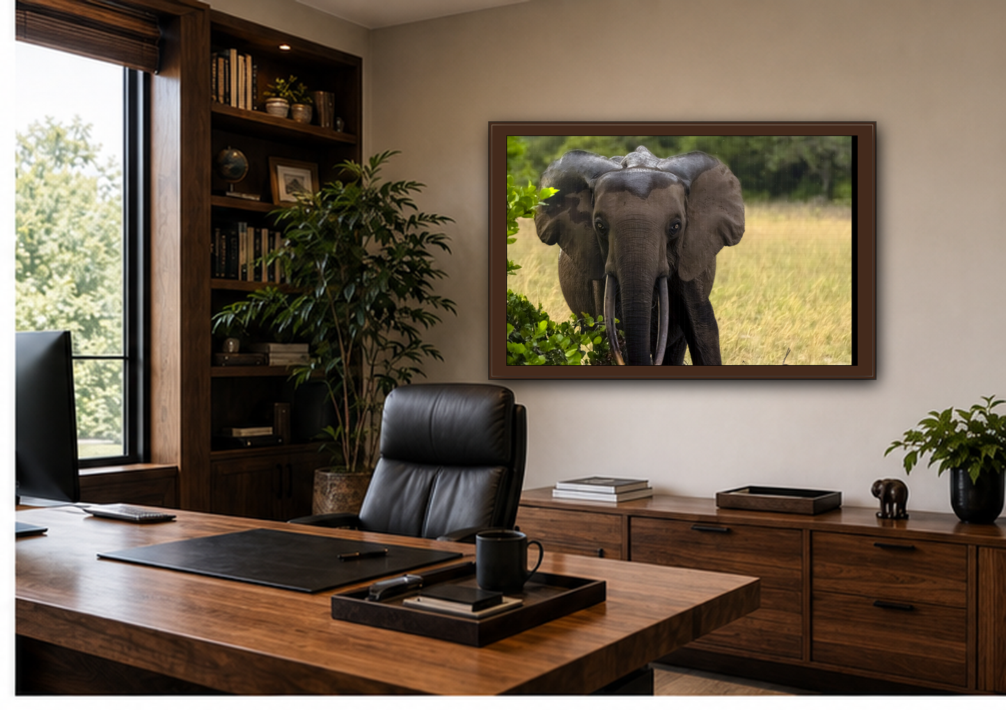 Forest Elephant Wall Art, Gabon Wildlife Photo, African Safari Espresso Framed Canvas Print