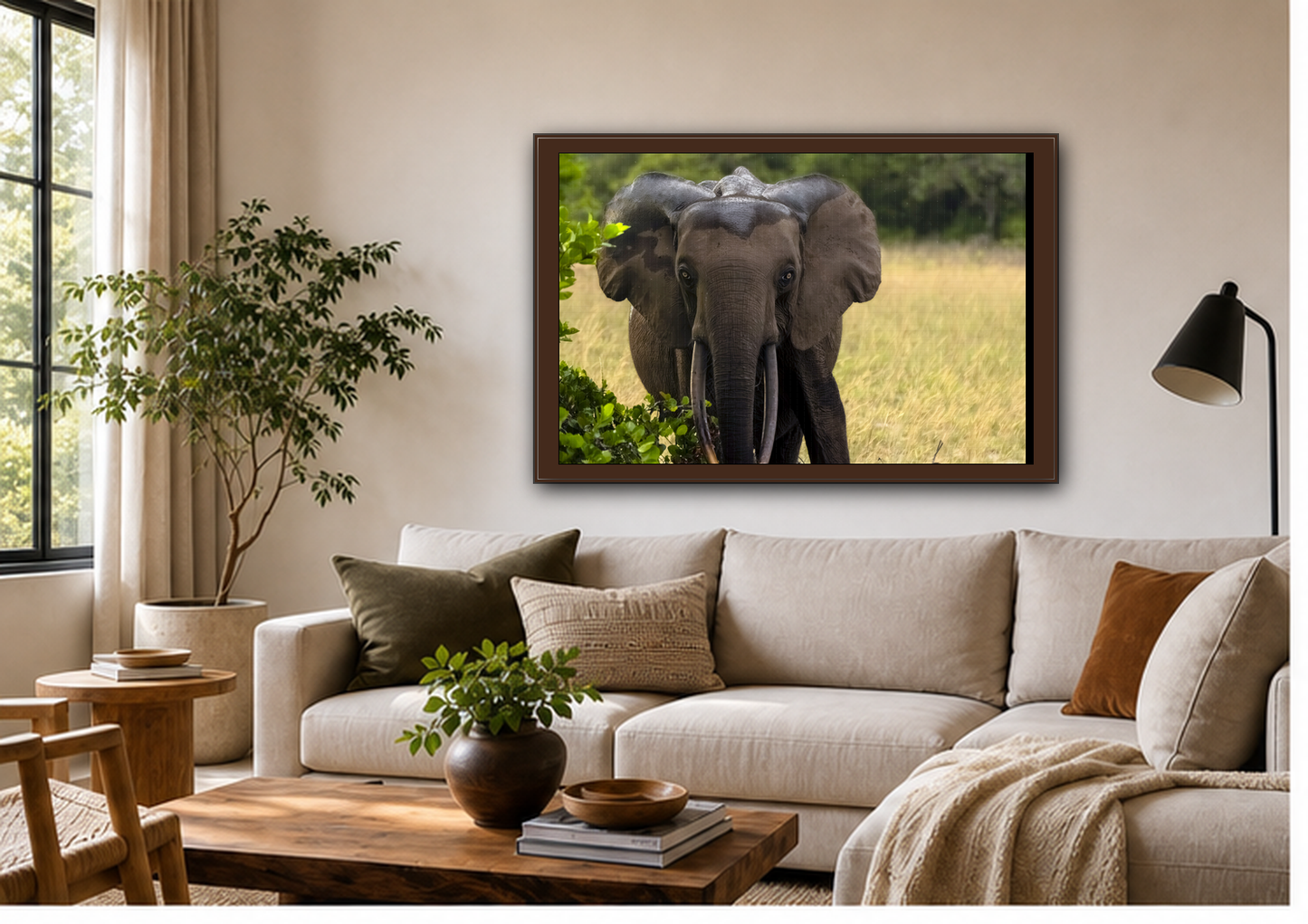 Forest Elephant Wall Art, Gabon Wildlife Photo, African Safari Espresso Framed Canvas Print