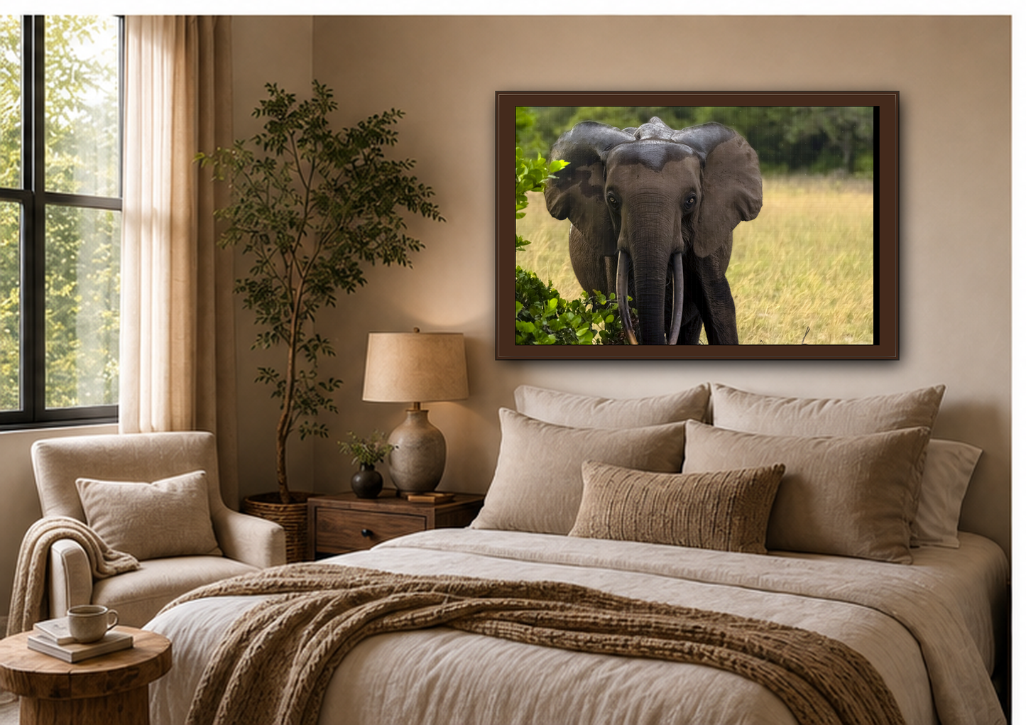 Forest Elephant Wall Art, Gabon Wildlife Photo, African Safari Espresso Framed Canvas Print