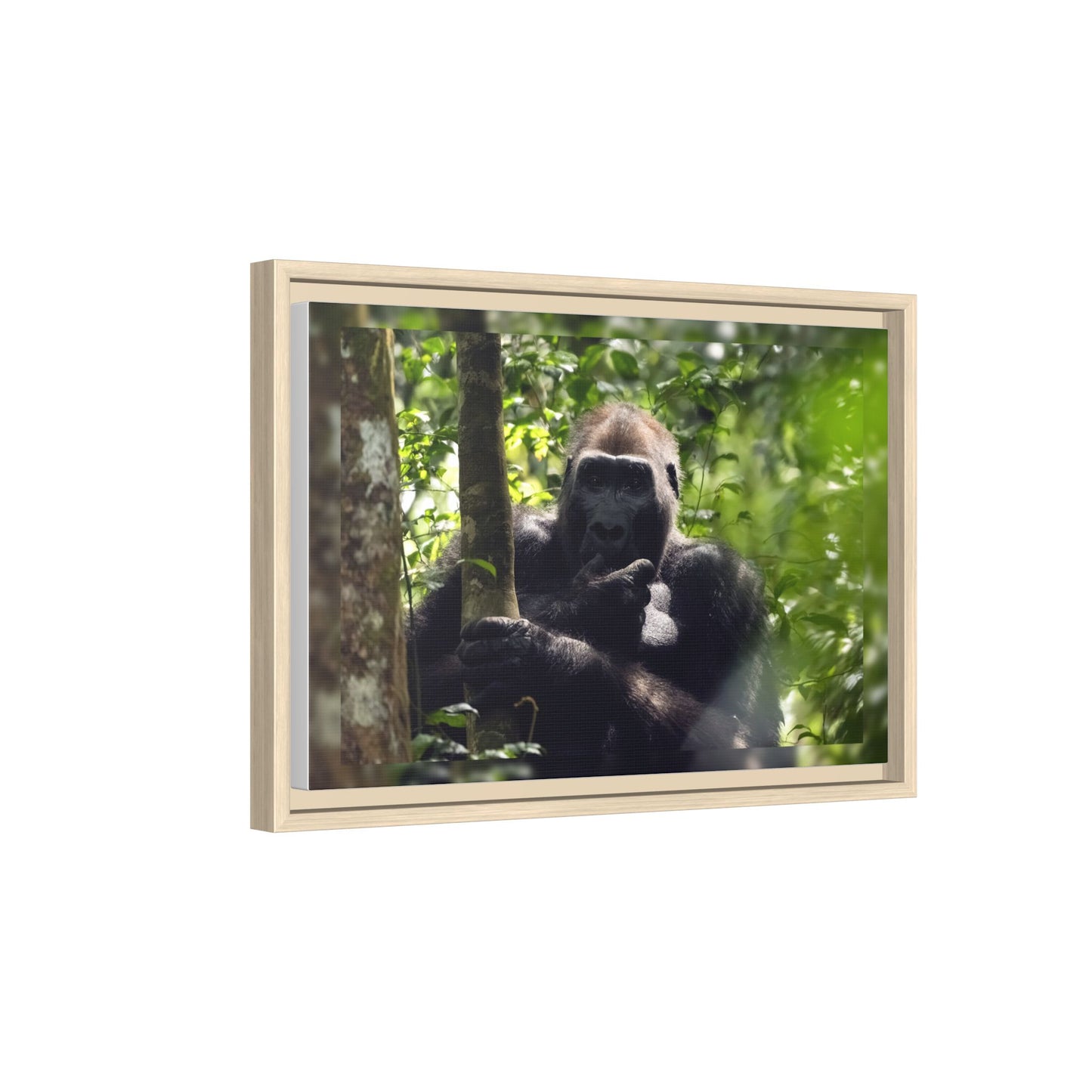 Silverback Gorilla Framed Canvas Wall Art, Gabon Africa Wildlife Photography Print, Safari Animal Decor