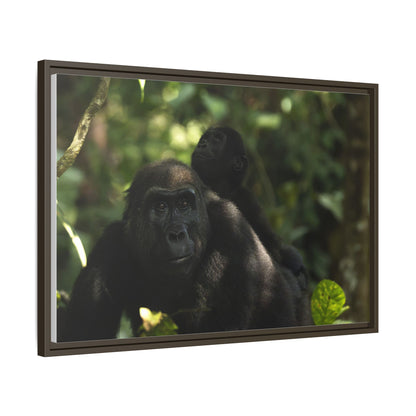 Gorilla Mother and Baby Wall Art, Gabon Wildlife Photo, African Forest Espresso Framed Canvas Print