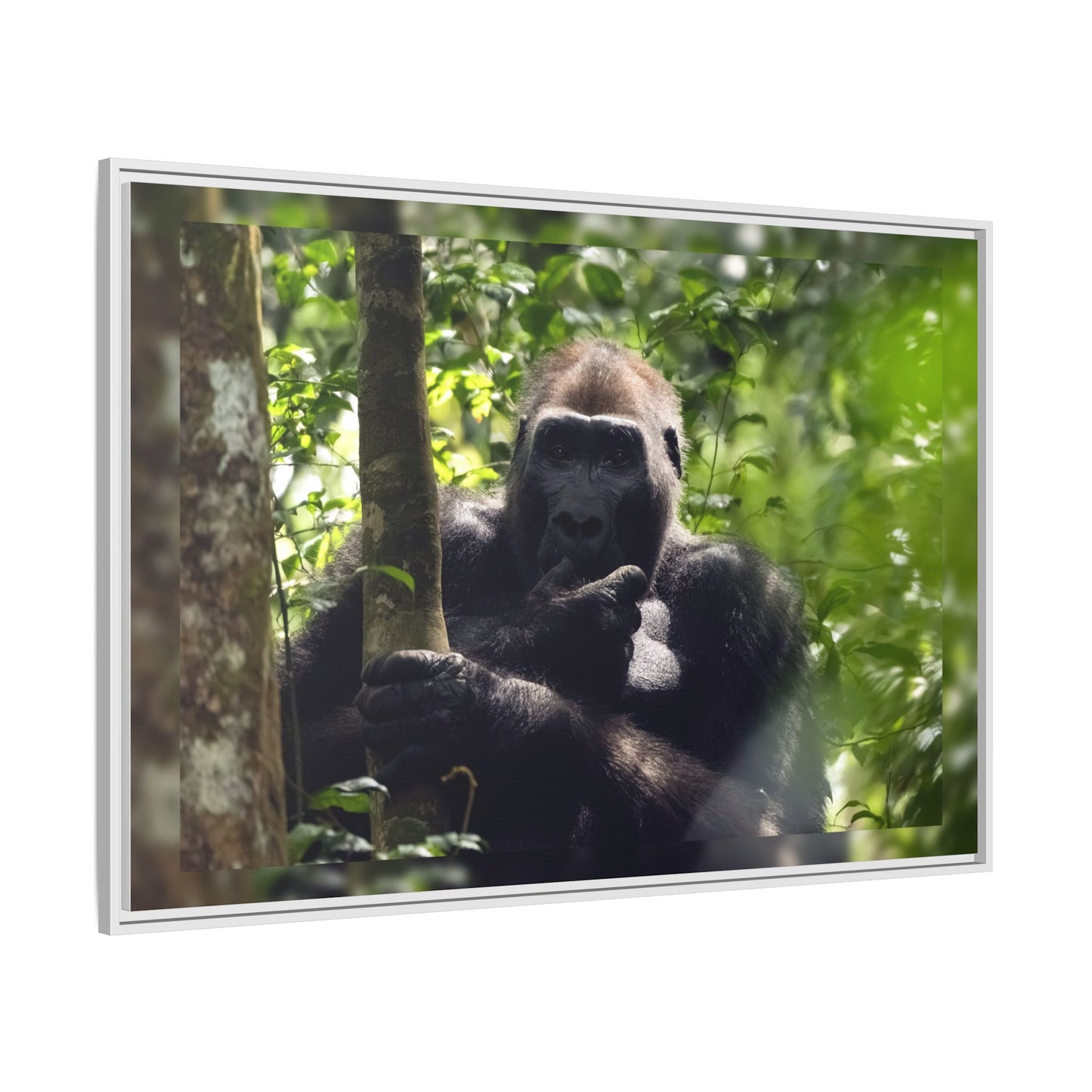 Silverback Gorilla Framed Canvas Wall Art, Gabon Africa Wildlife Photography Print, Safari Animal Decor
