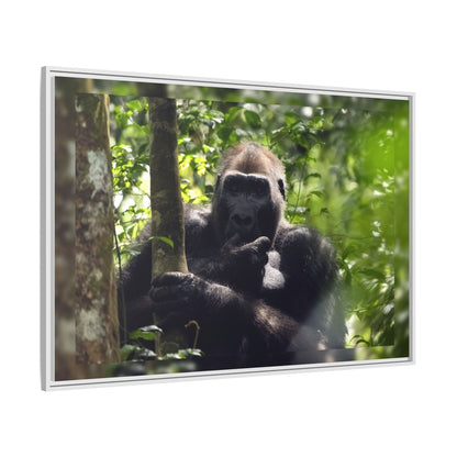 Silverback Gorilla Framed Canvas Wall Art, Gabon Africa Wildlife Photography Print, Safari Animal Decor