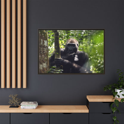 Silverback Gorilla Framed Canvas Wall Art, Gabon Africa Wildlife Photography Print, Safari Animal Decor