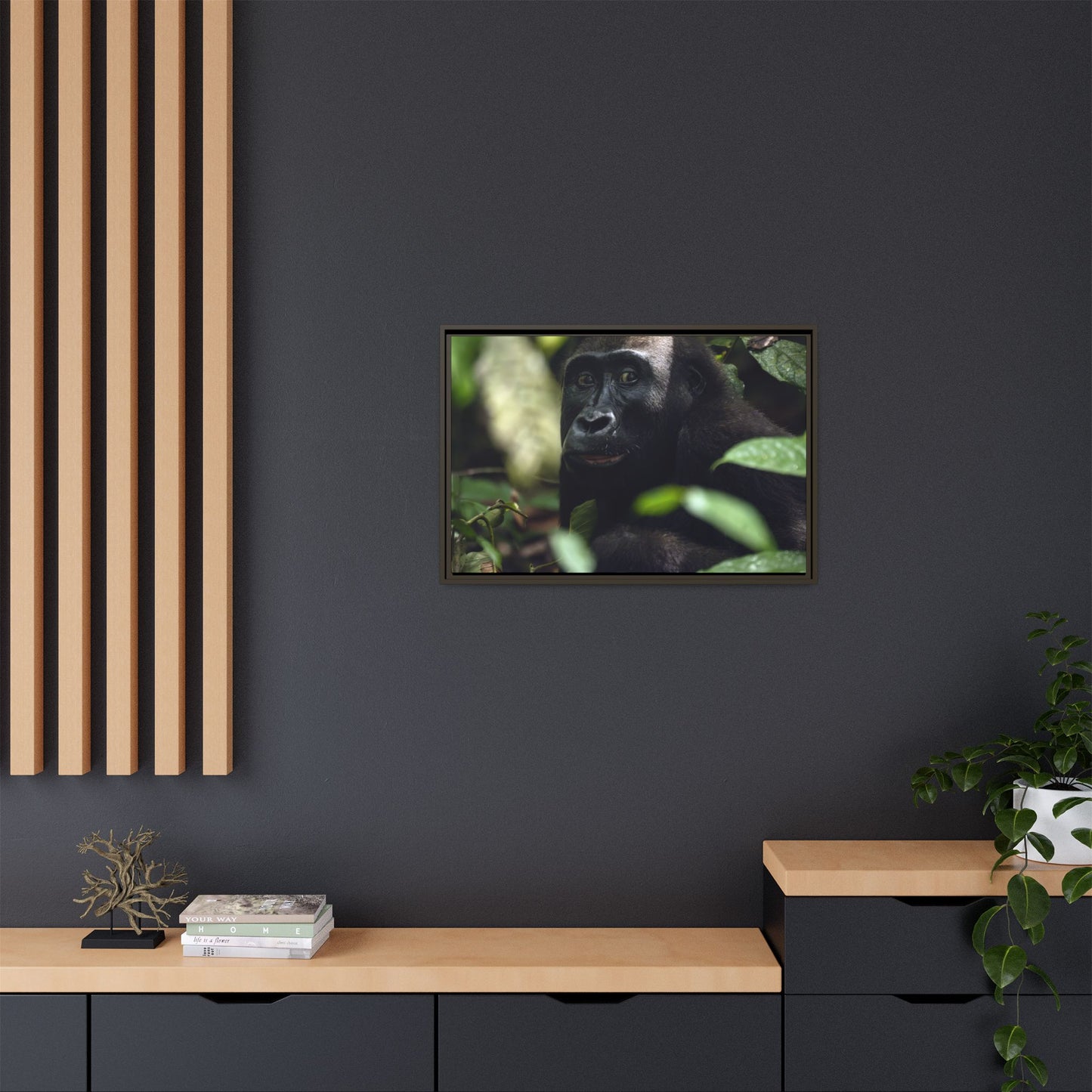 Female Gorilla Portrait Wall Art, Gabon Wildlife Photo, African Forest Espresso Framed Canvas Print