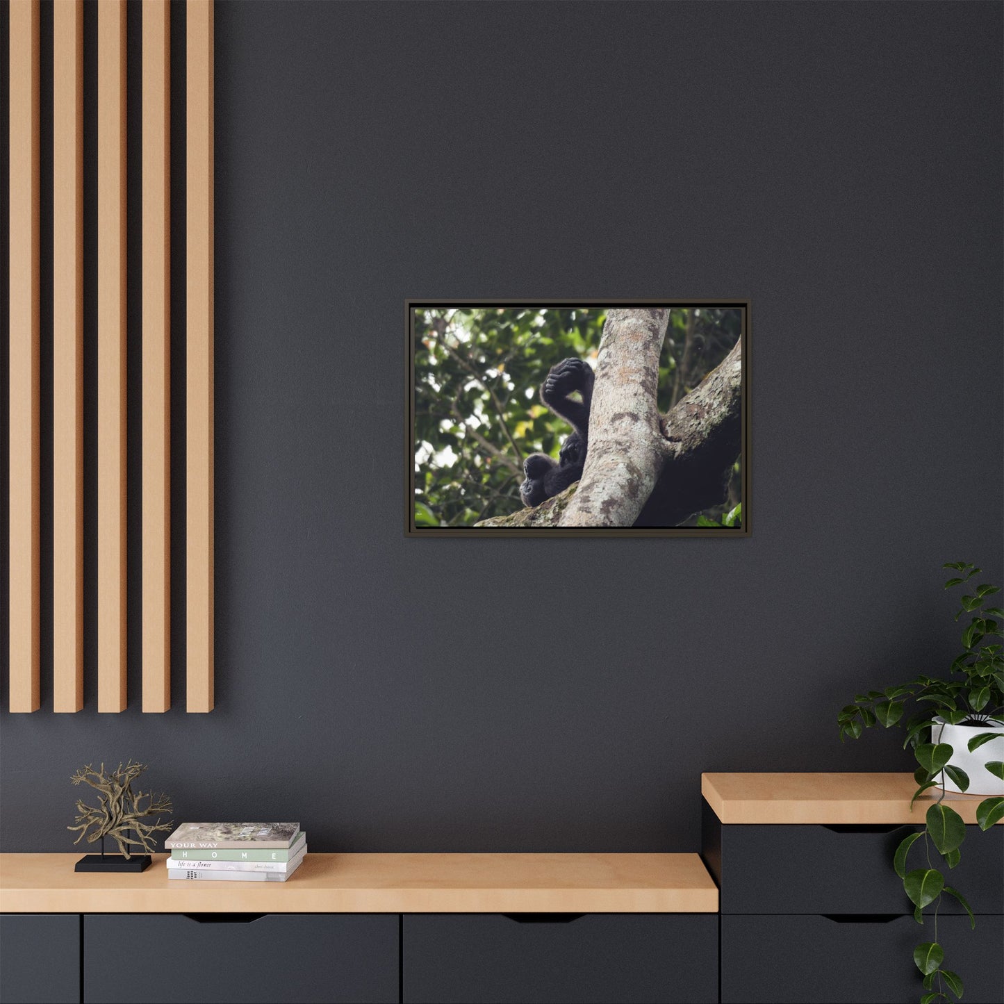 Baby Gorilla Wall Art, Gabon Wildlife Photo, Dozing in Tree Espresso Framed Canvas Print
