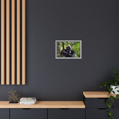 Silverback Gorilla Framed Canvas Wall Art, Gabon Africa Wildlife Photography Print, Safari Animal Decor