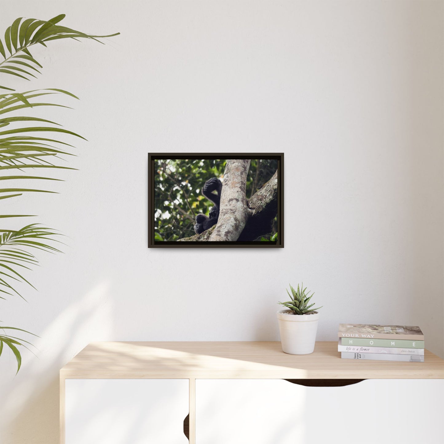 Baby Gorilla Wall Art, Gabon Wildlife Photo, Dozing in Tree Espresso Framed Canvas Print