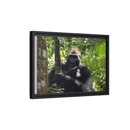 Silverback Gorilla Framed Canvas Wall Art, Gabon Africa Wildlife Photography Print, Safari Animal Decor