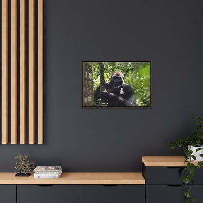 Silverback Gorilla Framed Canvas Wall Art, Gabon Africa Wildlife Photography Print, Safari Animal Decor