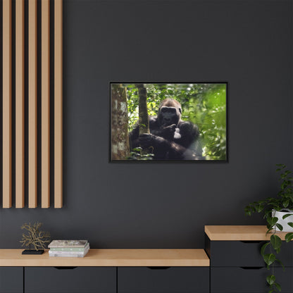 Silverback Gorilla Framed Canvas Wall Art, Gabon Africa Wildlife Photography Print, Safari Animal Decor