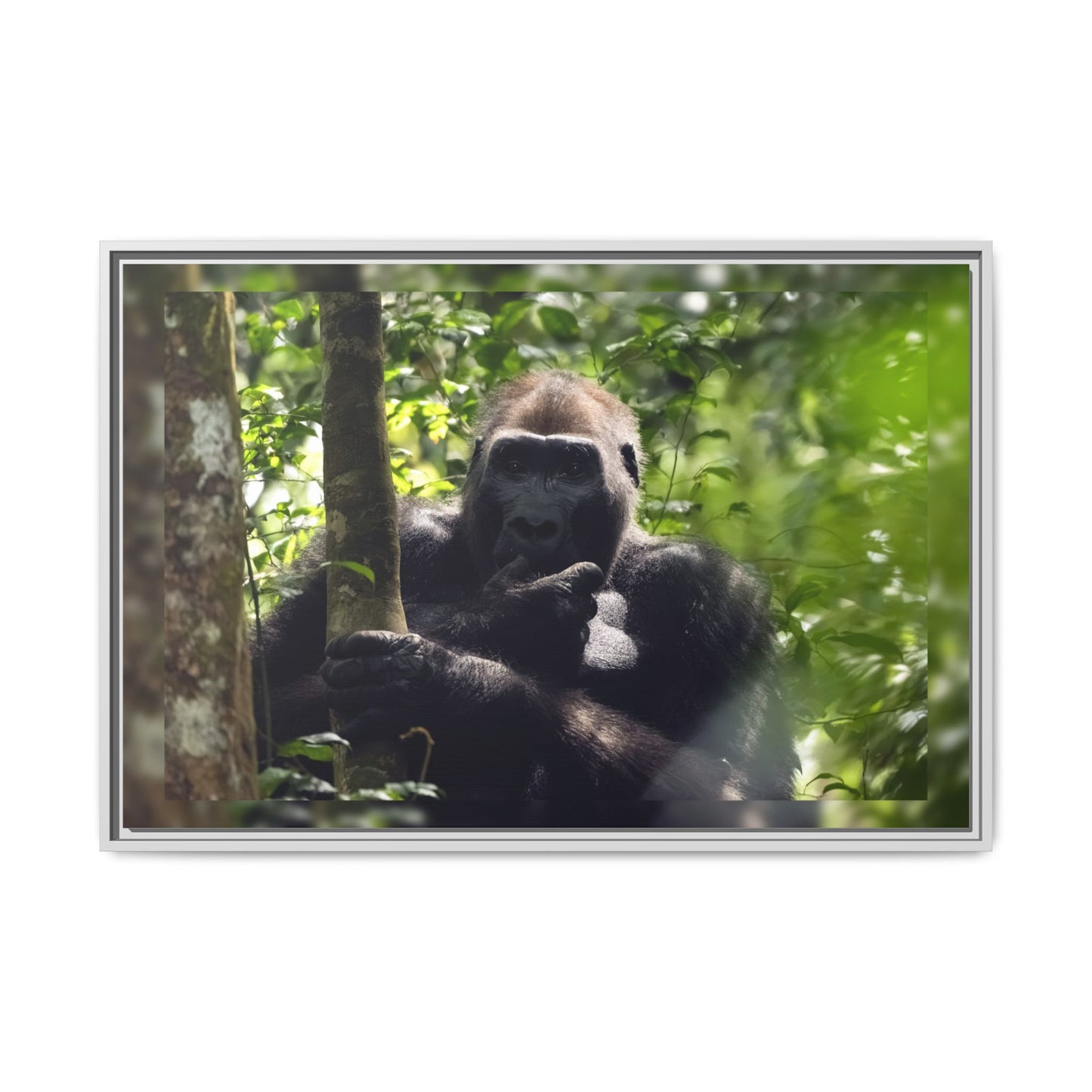Silverback Gorilla Framed Canvas Wall Art, Gabon Africa Wildlife Photography Print, Safari Animal Decor