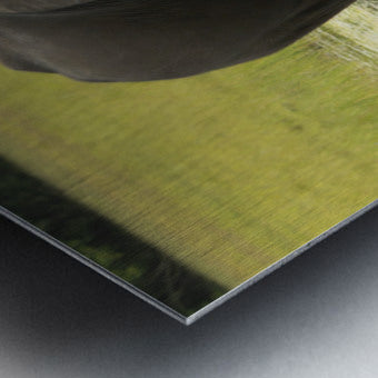 2728812 :: Brushed Metal Print