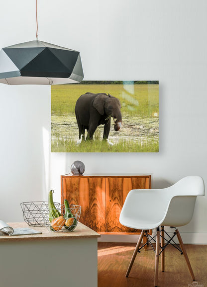 2728812 :: HD Sublimation Metal Print