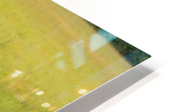 2728812 :: HD Sublimation Metal Print