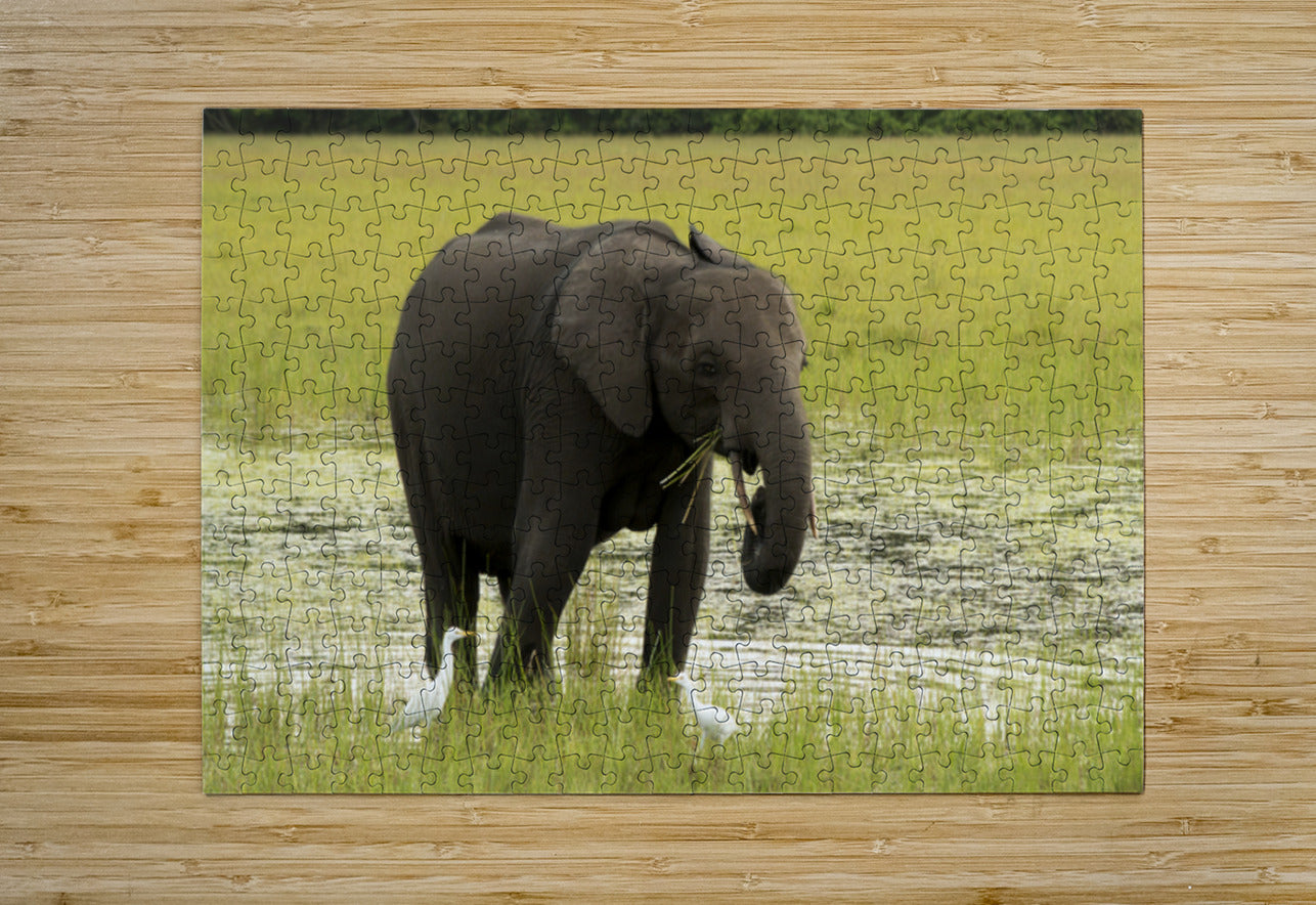 2728812 :: Puzzle Print