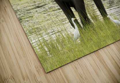 2728812 :: Puzzle Print