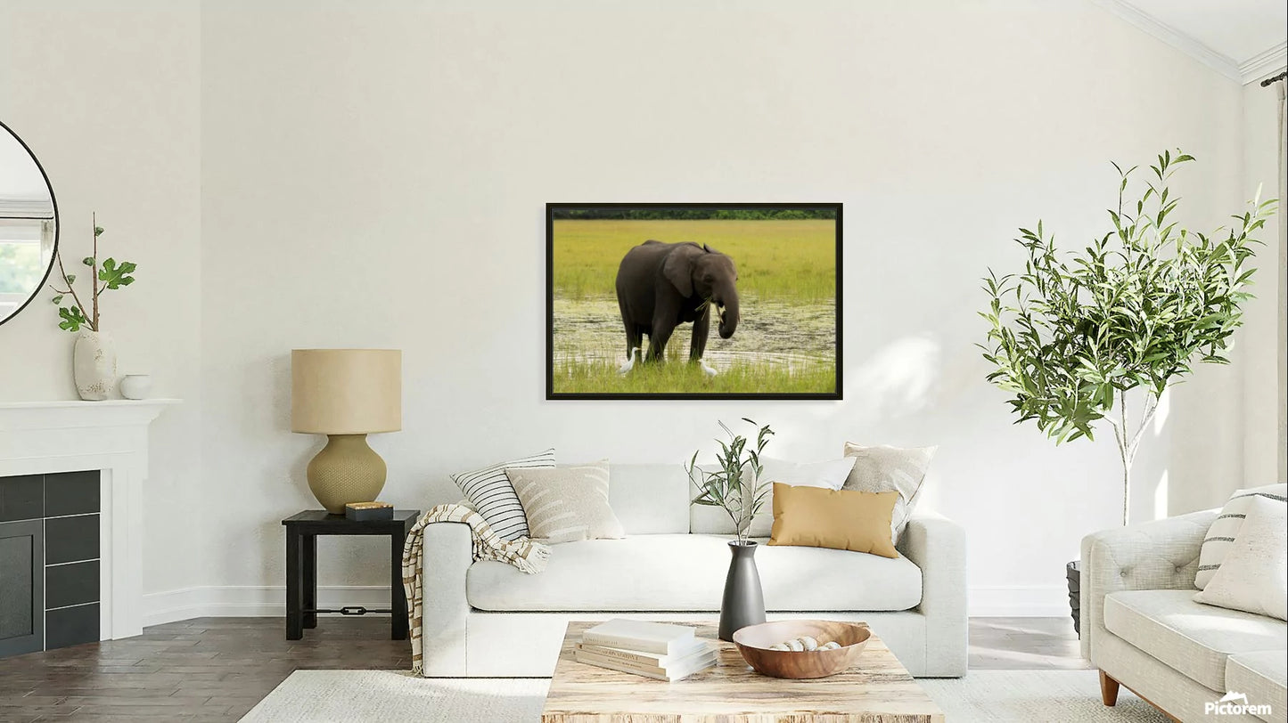2728812 :: Giclée Stretched Canvas Print