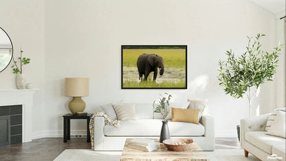 2728812 :: Giclée Stretched Canvas Print