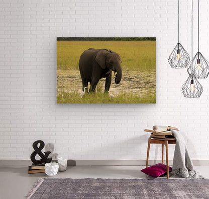 2728812 :: Wood Print
