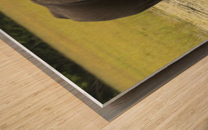 2728812 :: Wood Print