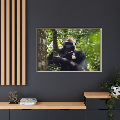 Silverback Gorilla Framed Canvas Wall Art, Gabon Africa Wildlife Photography Print, Safari Animal Decor