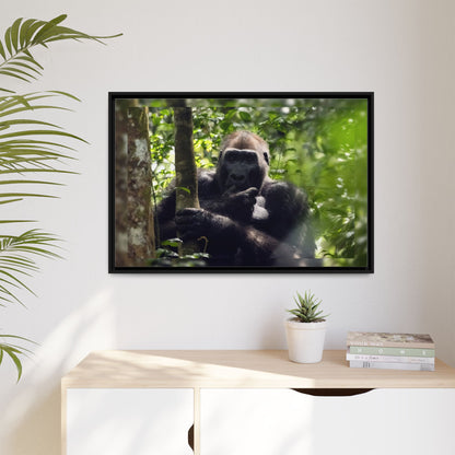 Silverback Gorilla Framed Canvas Wall Art, Gabon Africa Wildlife Photography Print, Safari Animal Decor