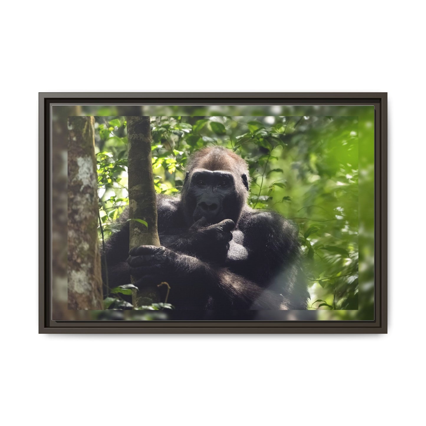 Silverback Gorilla Framed Canvas Wall Art, Gabon Africa Wildlife Photography Print, Safari Animal Decor