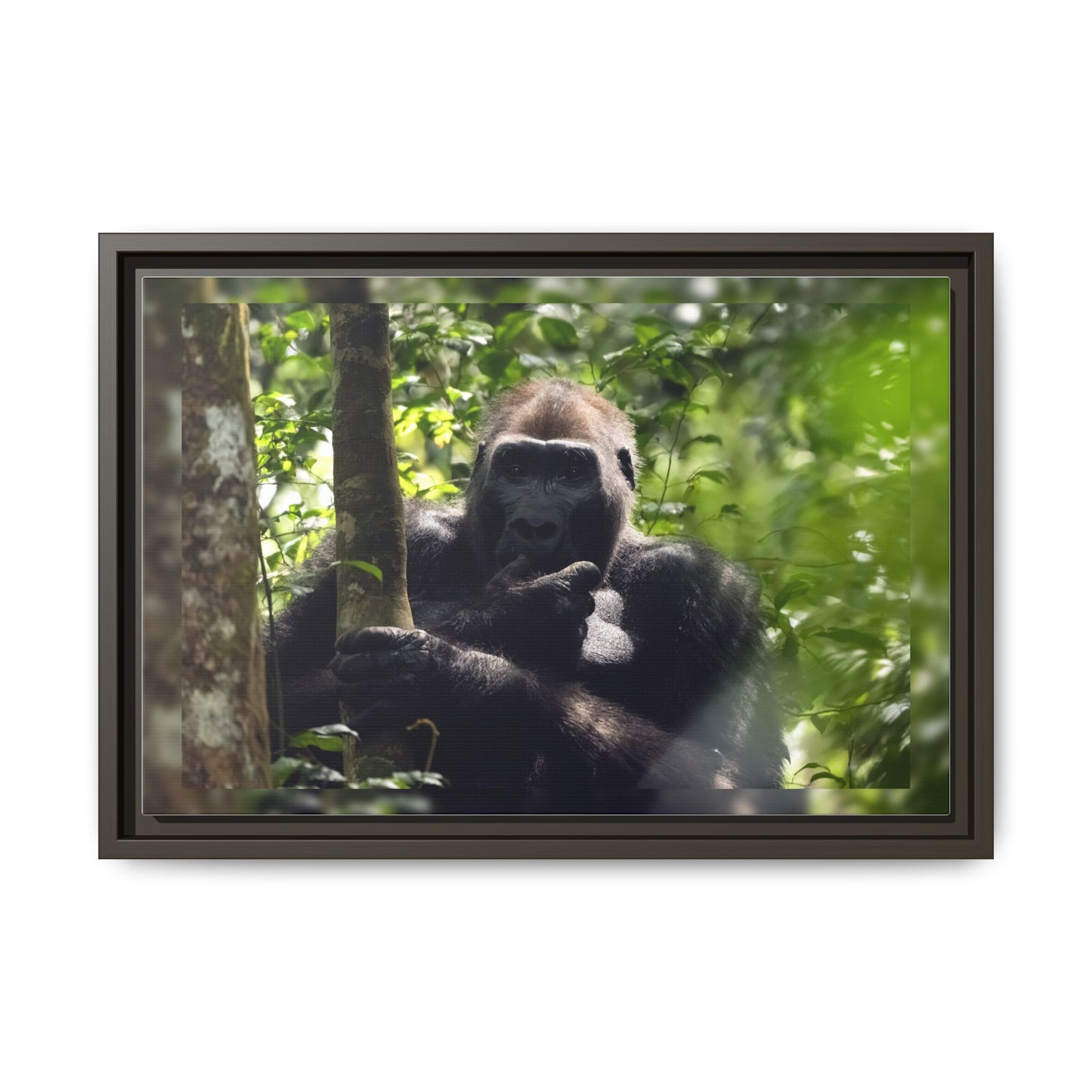 Silverback Gorilla Framed Canvas Wall Art, Gabon Africa Wildlife Photography Print, Safari Animal Decor