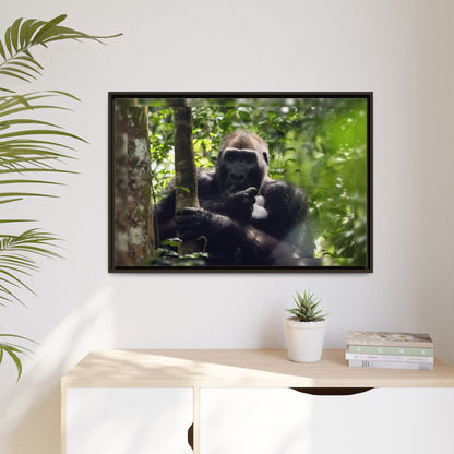 Silverback Gorilla Framed Canvas Wall Art, Gabon Africa Wildlife Photography Print, Safari Animal Decor