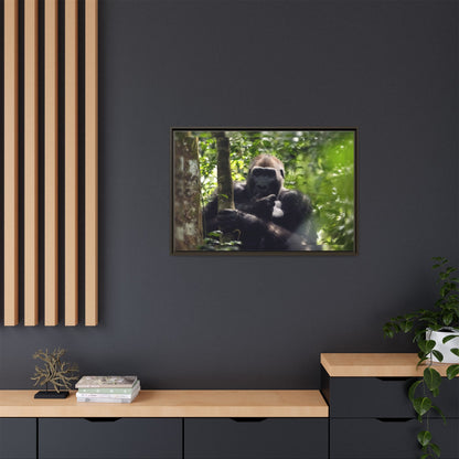 Silverback Gorilla Framed Canvas Wall Art, Gabon Africa Wildlife Photography Print, Safari Animal Decor