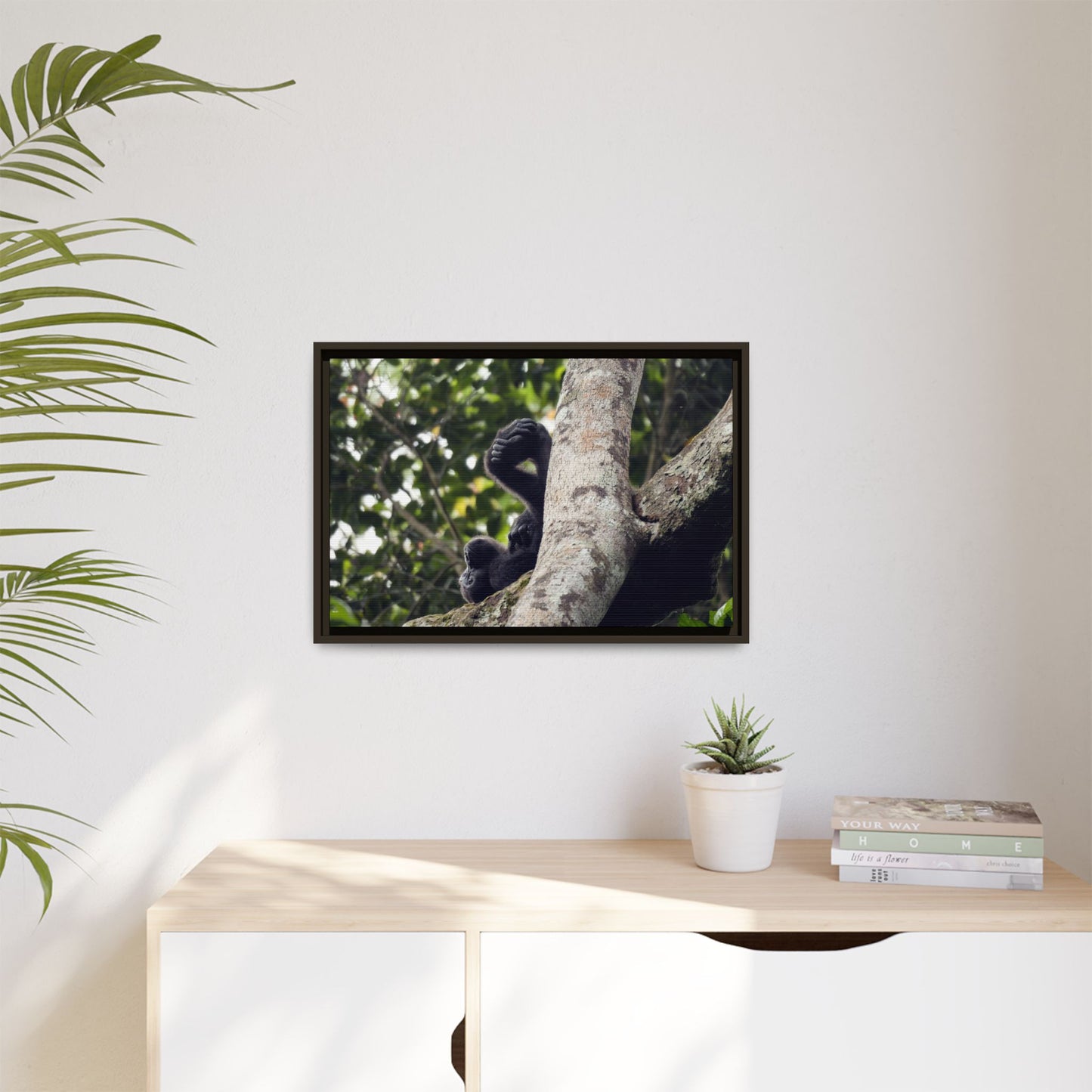 Baby Gorilla Wall Art, Gabon Wildlife Photo, Dozing in Tree Espresso Framed Canvas Print
