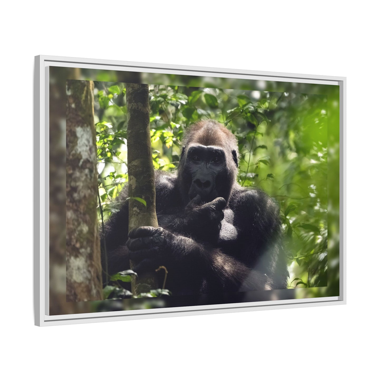 Silverback Gorilla Framed Canvas Wall Art, Gabon Africa Wildlife Photography Print, Safari Animal Decor