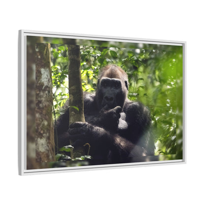 Silverback Gorilla Framed Canvas Wall Art, Gabon Africa Wildlife Photography Print, Safari Animal Decor