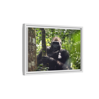 Silverback Gorilla Framed Canvas Wall Art, Gabon Africa Wildlife Photography Print, Safari Animal Decor