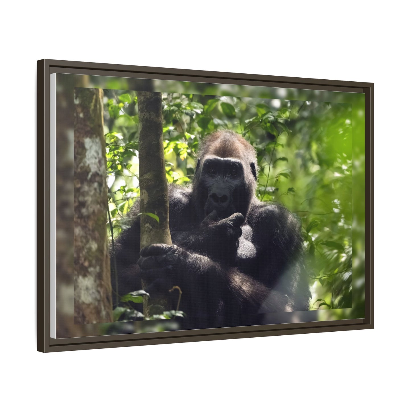 Silverback Gorilla Framed Canvas Wall Art, Gabon Africa Wildlife Photography Print, Safari Animal Decor