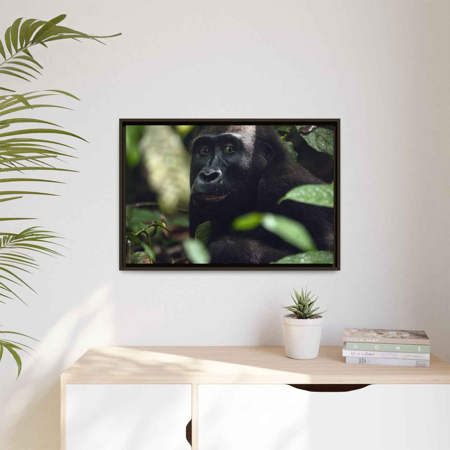 Female Gorilla Portrait Wall Art, Gabon Wildlife Photo, African Forest Espresso Framed Canvas Print