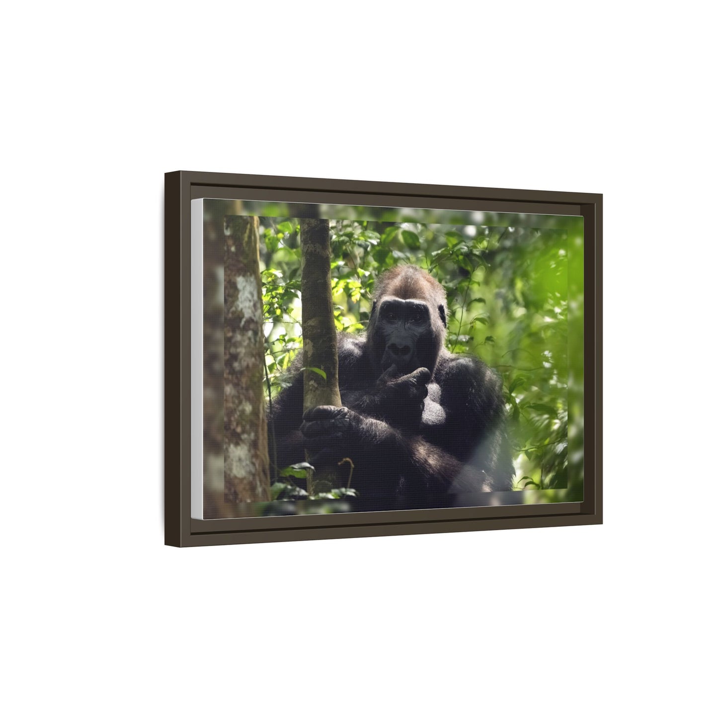 Silverback Gorilla Framed Canvas Wall Art, Gabon Africa Wildlife Photography Print, Safari Animal Decor