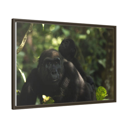 Gorilla Mother and Baby Wall Art, Gabon Wildlife Photo, African Forest Espresso Framed Canvas Print